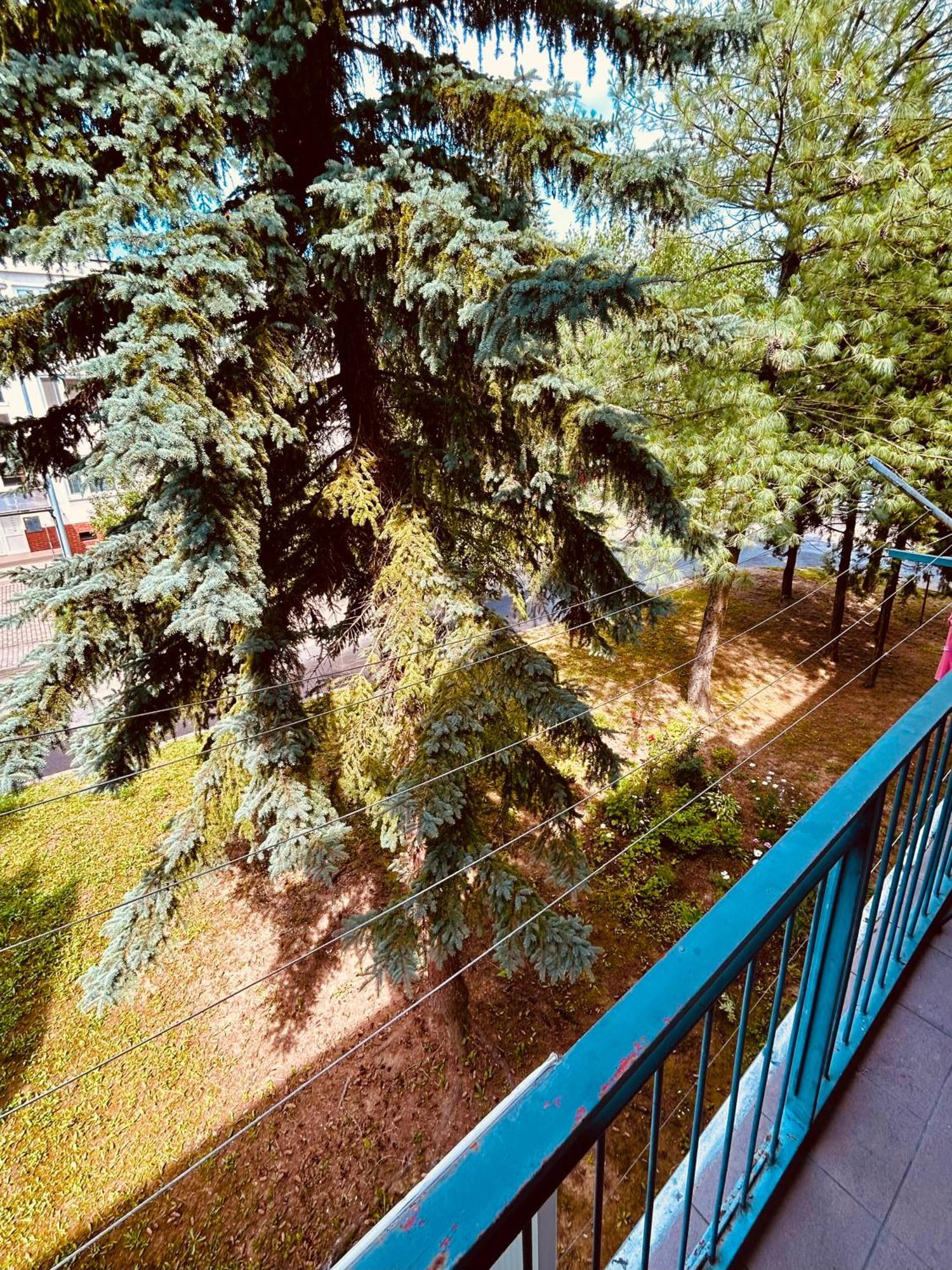 Apartman Lucky, Bojnice بريفيدزا المظهر الخارجي الصورة